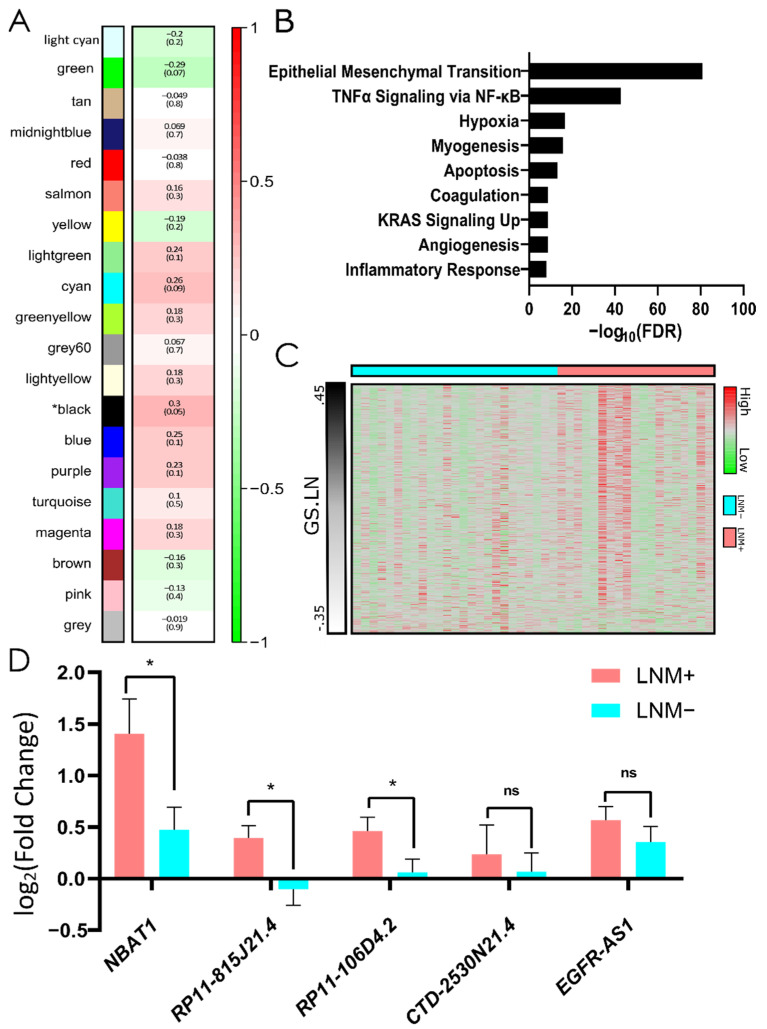 PMC9562881 – cells-11-03181-f002