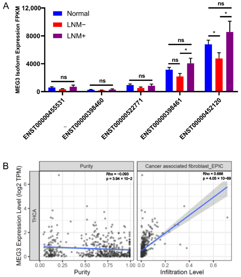 PMC9562881 – cells-11-03181-f004