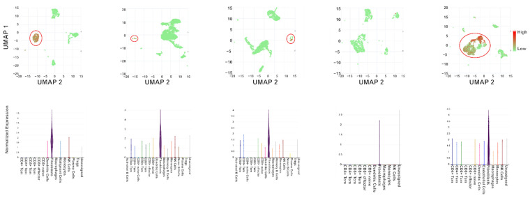 PMC9562881 – cells-11-03181-f005