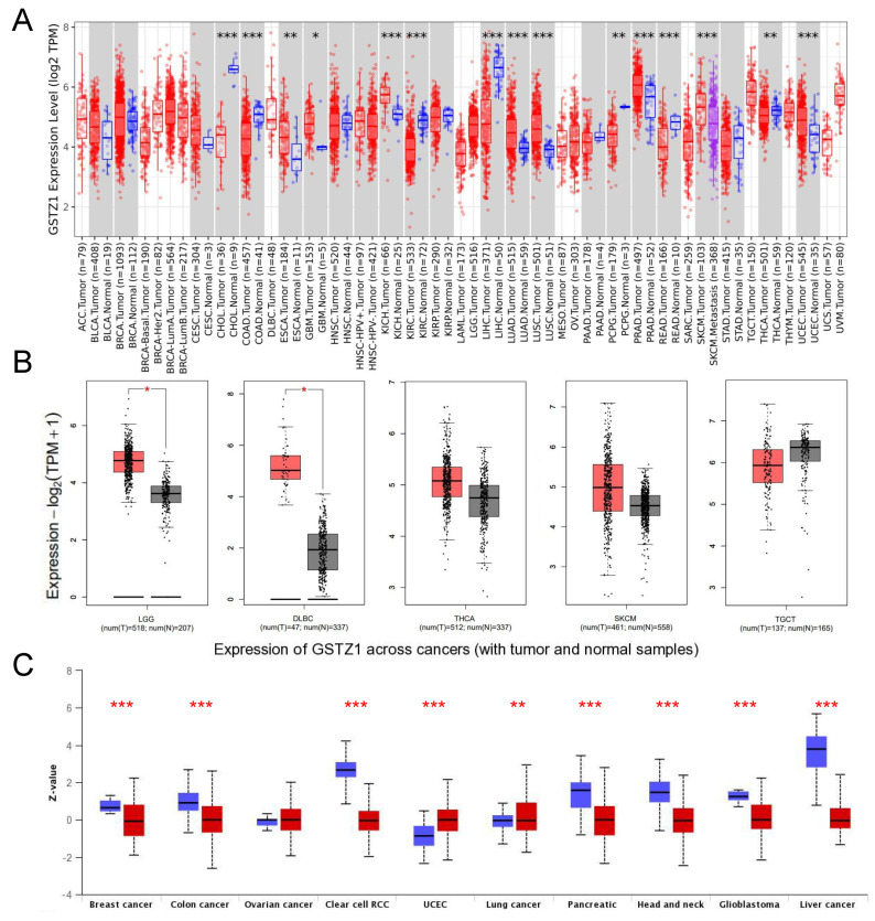 PMC9600210 – cells-11-03232-f001