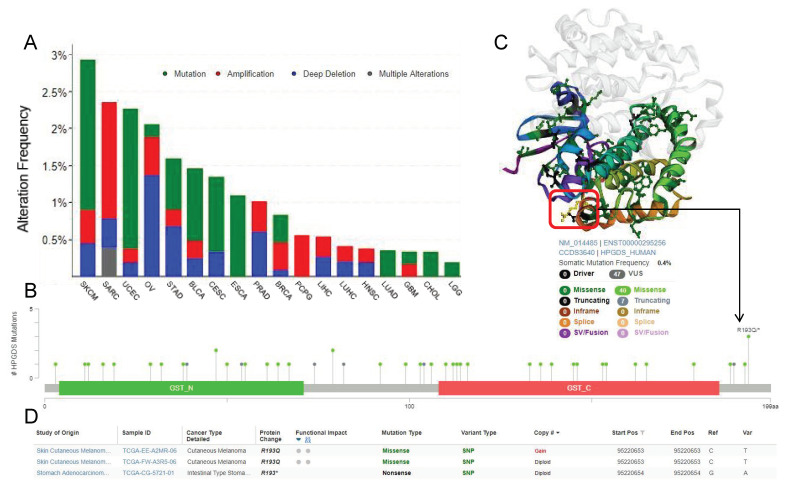 PMC9600210 – cells-11-03232-f003