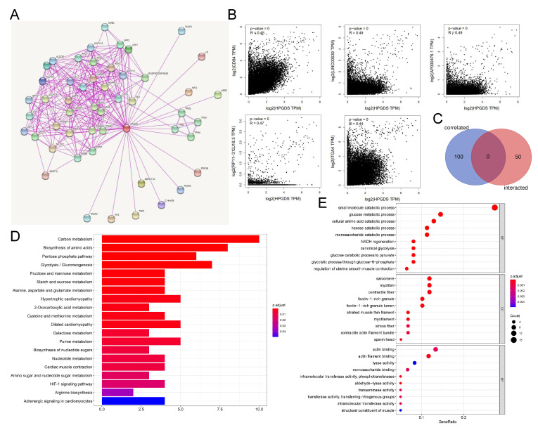 PMC9600210 – cells-11-03232-f005