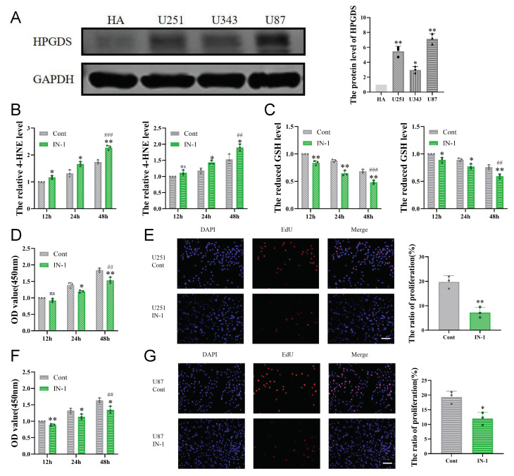 PMC9600210 – cells-11-03232-f007