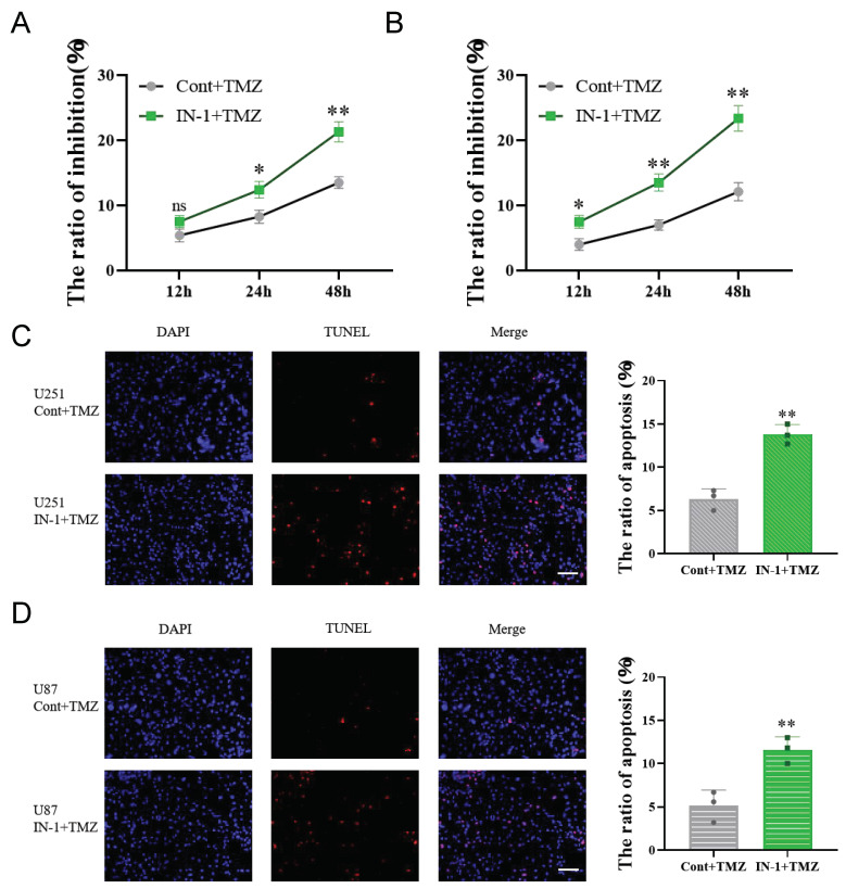 PMC9600210 – cells-11-03232-f008