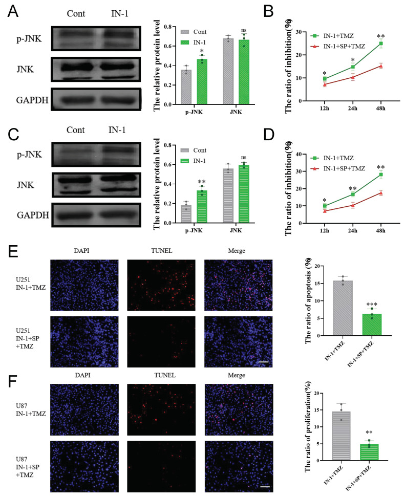 PMC9600210 – cells-11-03232-f009