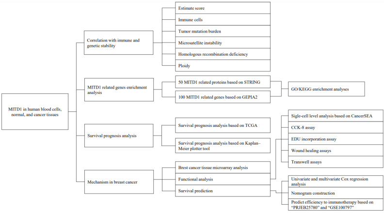 PMC9600621 – cells-11-03308-f001