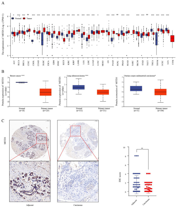 PMC9600621 – cells-11-03308-f002