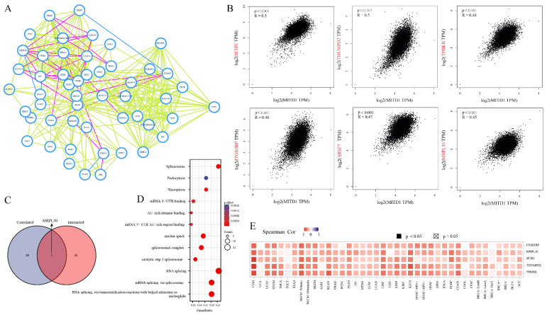 PMC9600621 – cells-11-03308-f005