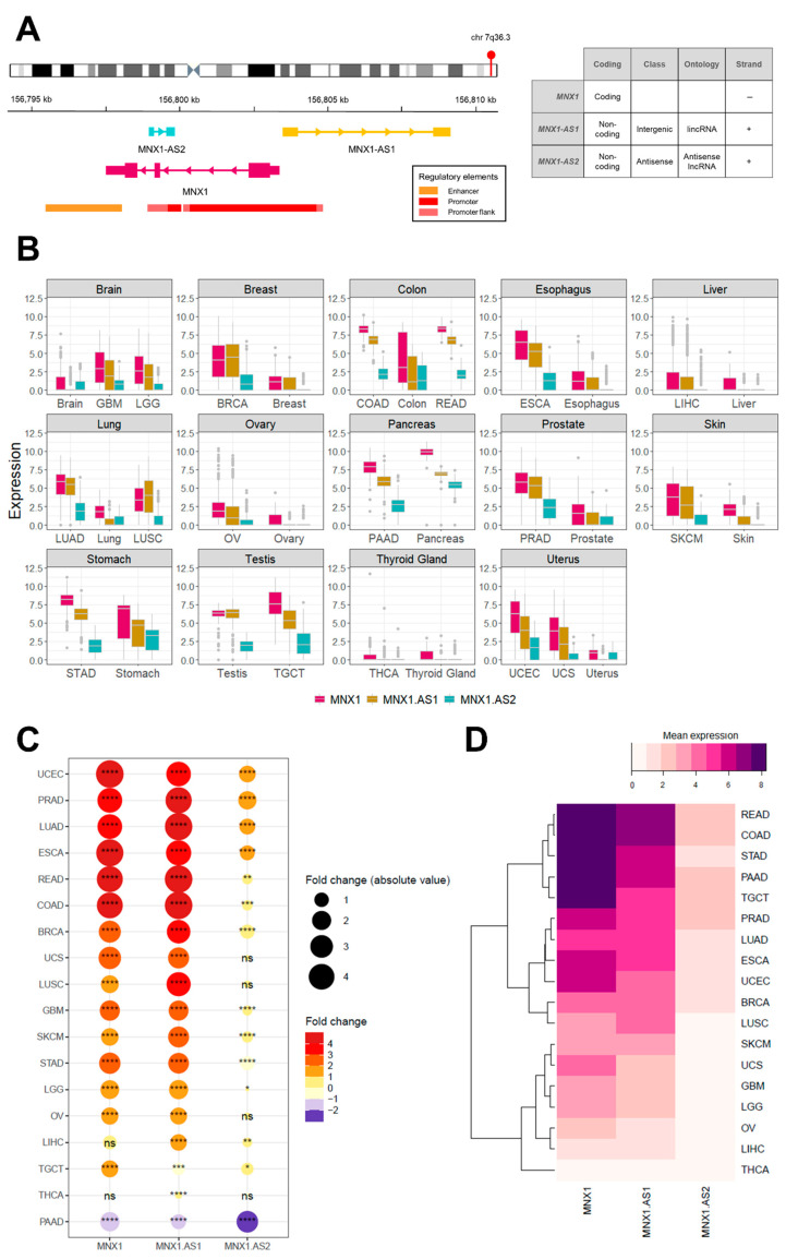 PMC9688723 – cells-11-03577-f001