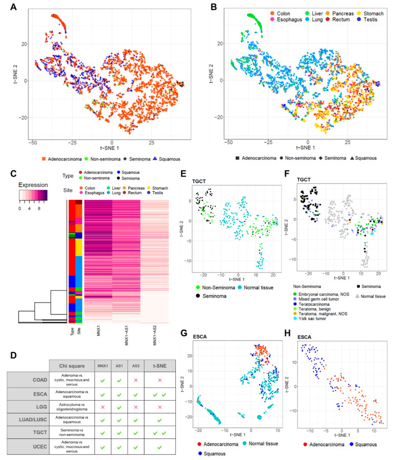 PMC9688723 – cells-11-03577-f005