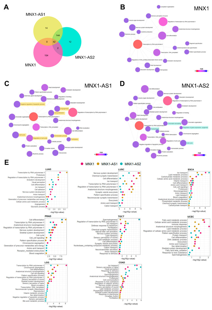 PMC9688723 – cells-11-03577-f006