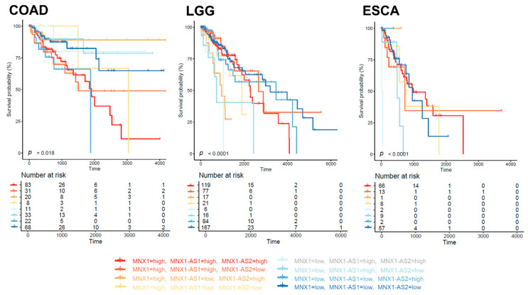 PMC9688723 – cells-11-03577-f008