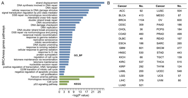 PMC9738094 – cells-11-03877-f001