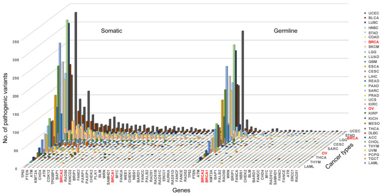 PMC9738094 – cells-11-03877-f002