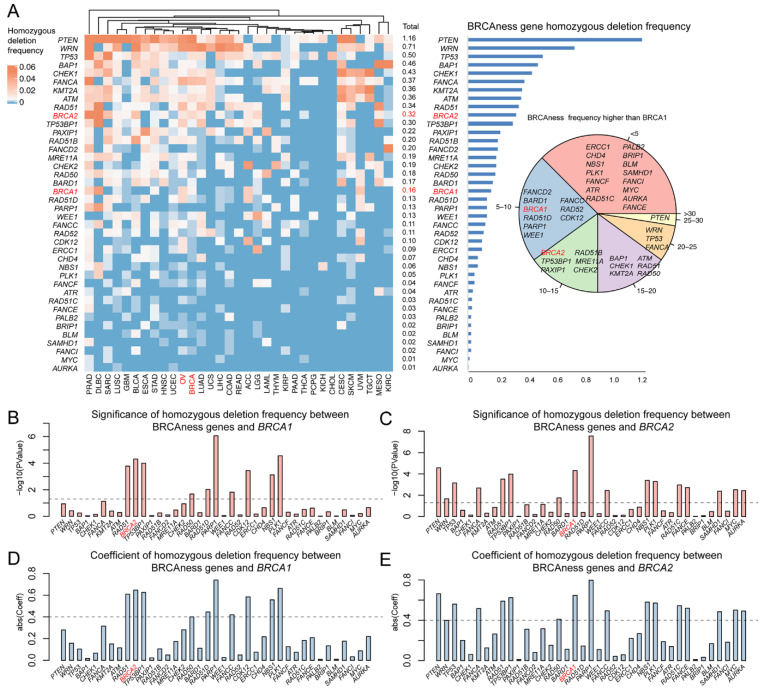 PMC9738094 – cells-11-03877-f004