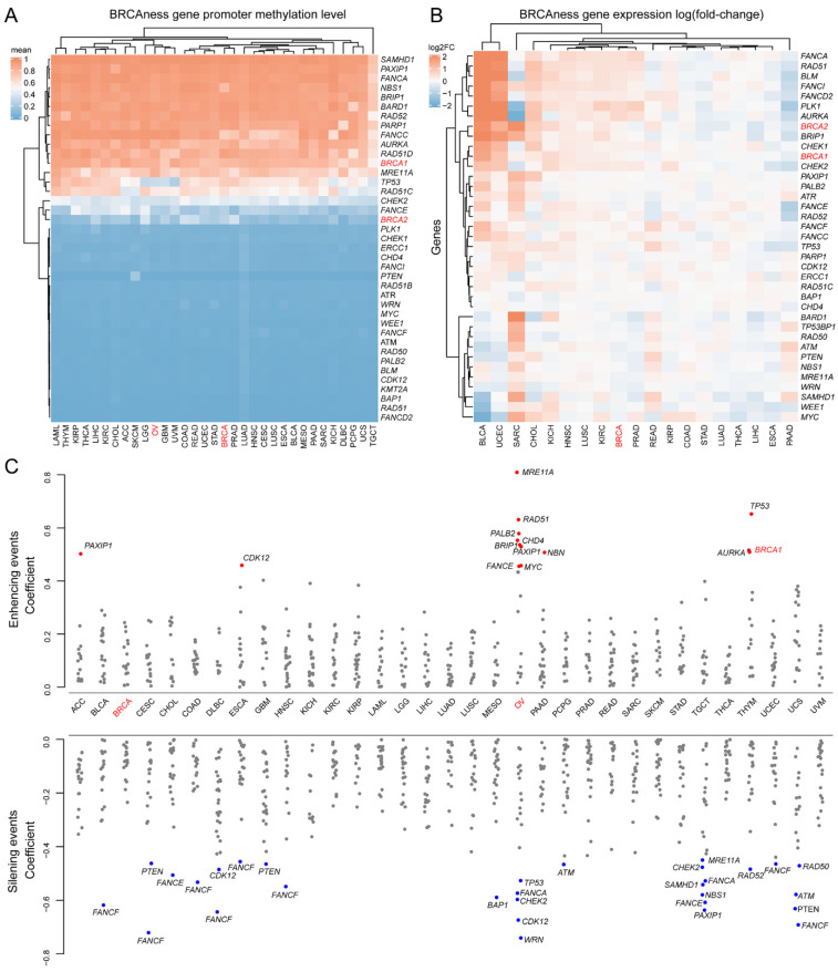 PMC9738094 – cells-11-03877-f005