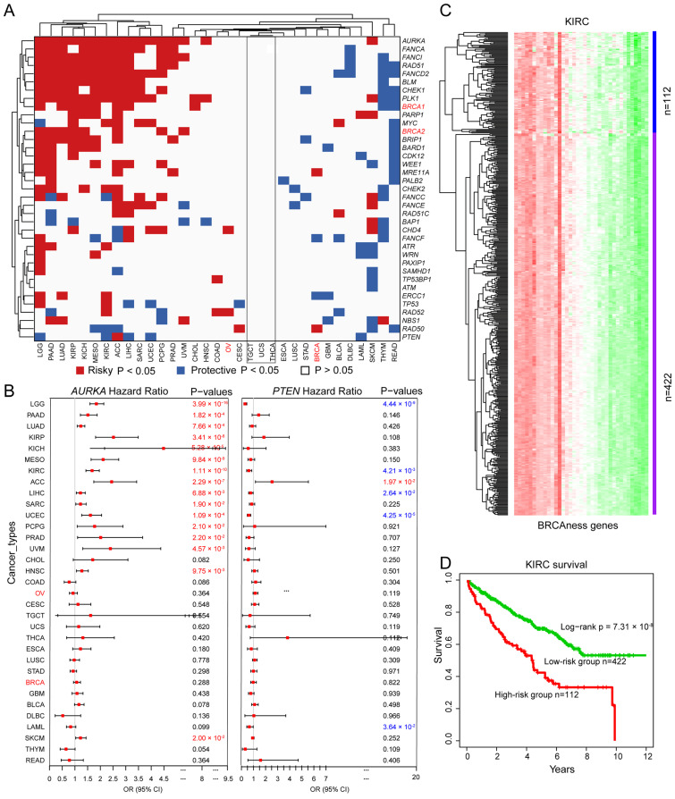 PMC9738094 – cells-11-03877-f006