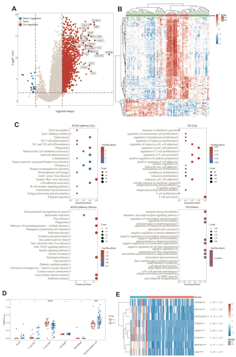 PMC9740123 – cells-11-03909-f006