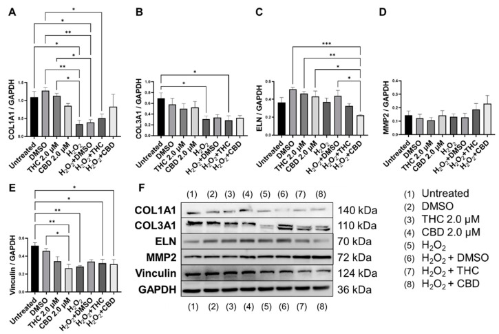 PMC9738082 – cells-11-03939-f007