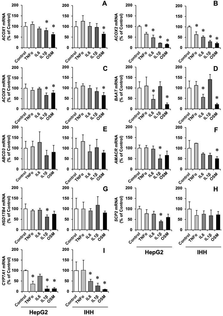 PMC9777420 – cells-11-03983-f001