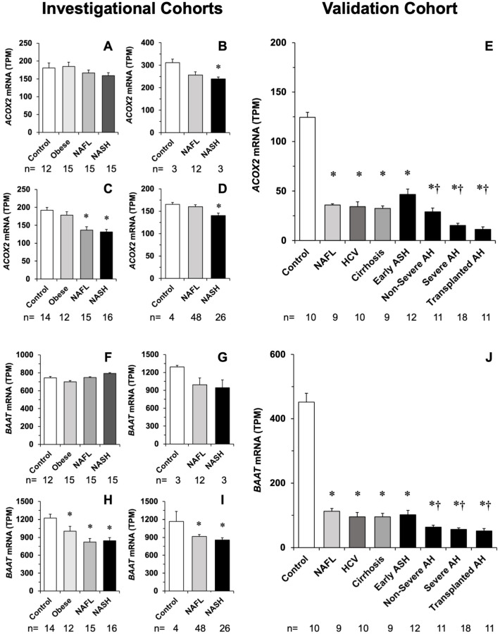 PMC9777420 – cells-11-03983-f005