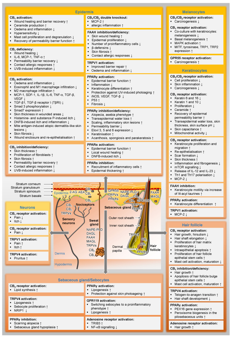 PMC9777118 – cells-11-04102-f002