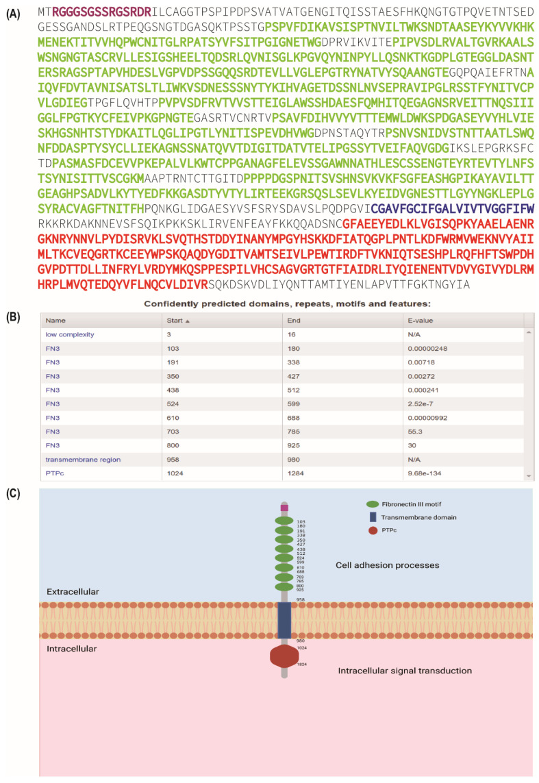 PMC9818648 – cells-12-00008-f001