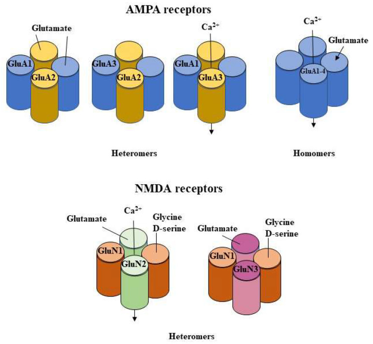 PMC9913617 – cells-12-00442-f001