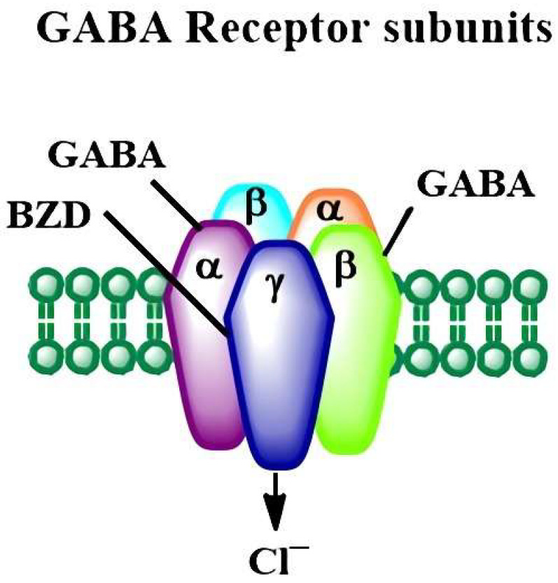 PMC9913617 – cells-12-00442-f002