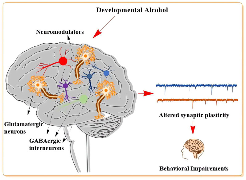 PMC9913617 – cells-12-00442-f003