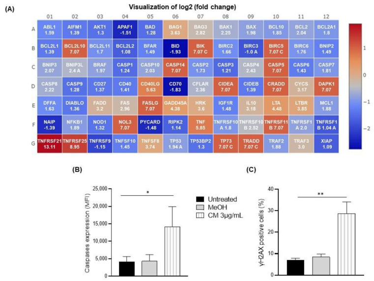 PMC9954265 – cells-12-00588-f003