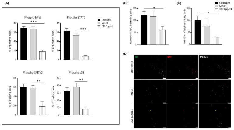 PMC9954265 – cells-12-00588-f005