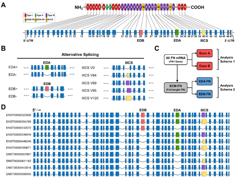 PMC10000746 – cells-12-00685-f002