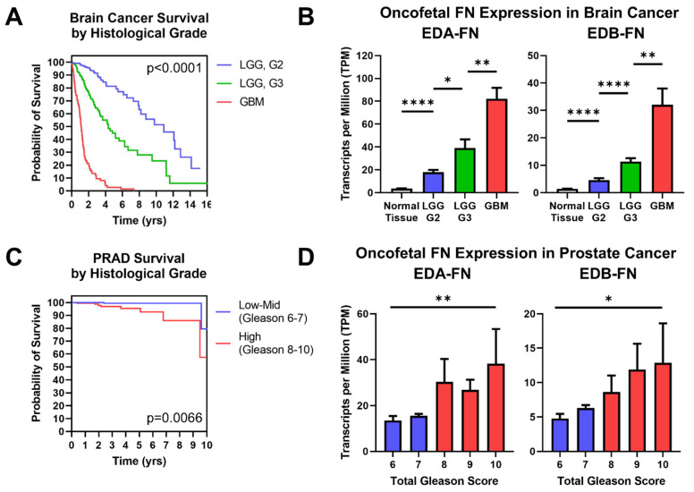 PMC10000746 – cells-12-00685-f007