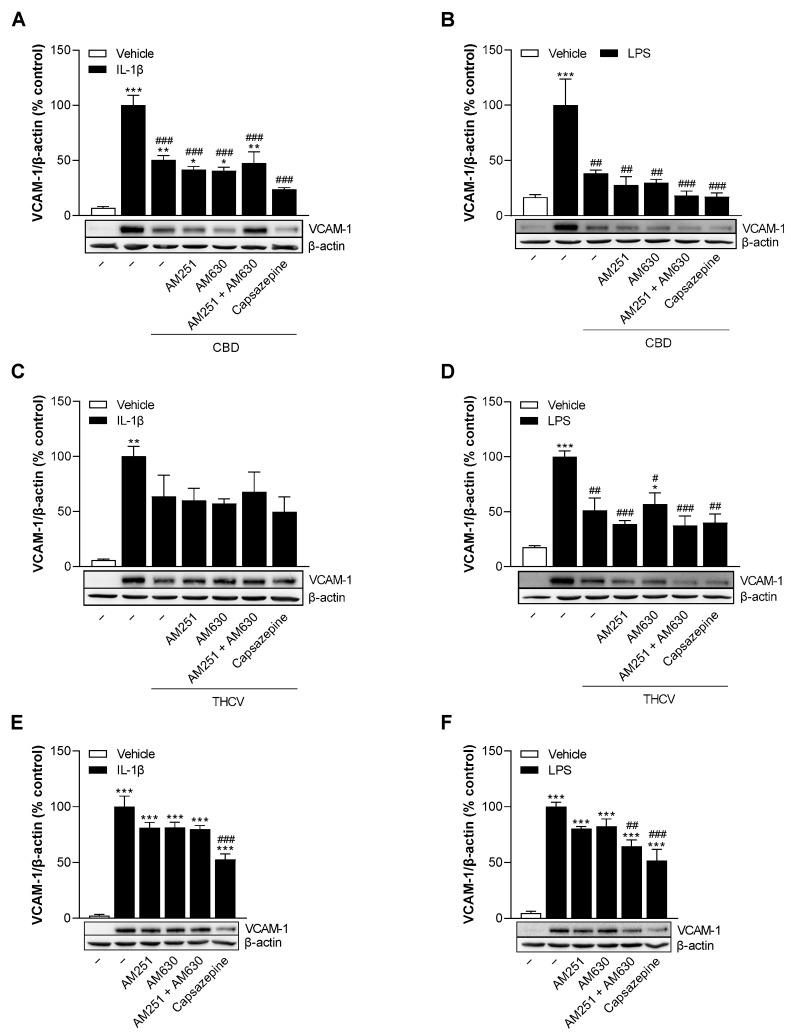 PMC10571842 – cells-12-02389-f005