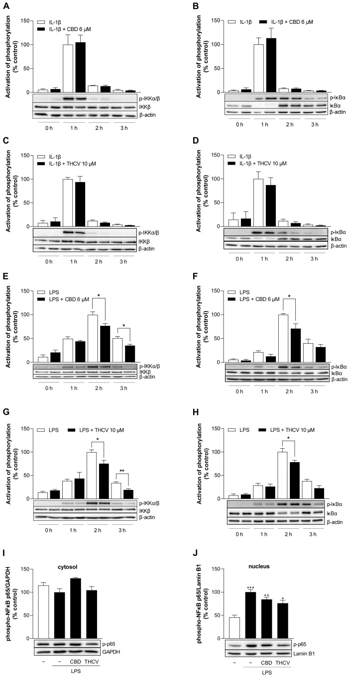 PMC10571842 – cells-12-02389-f008
