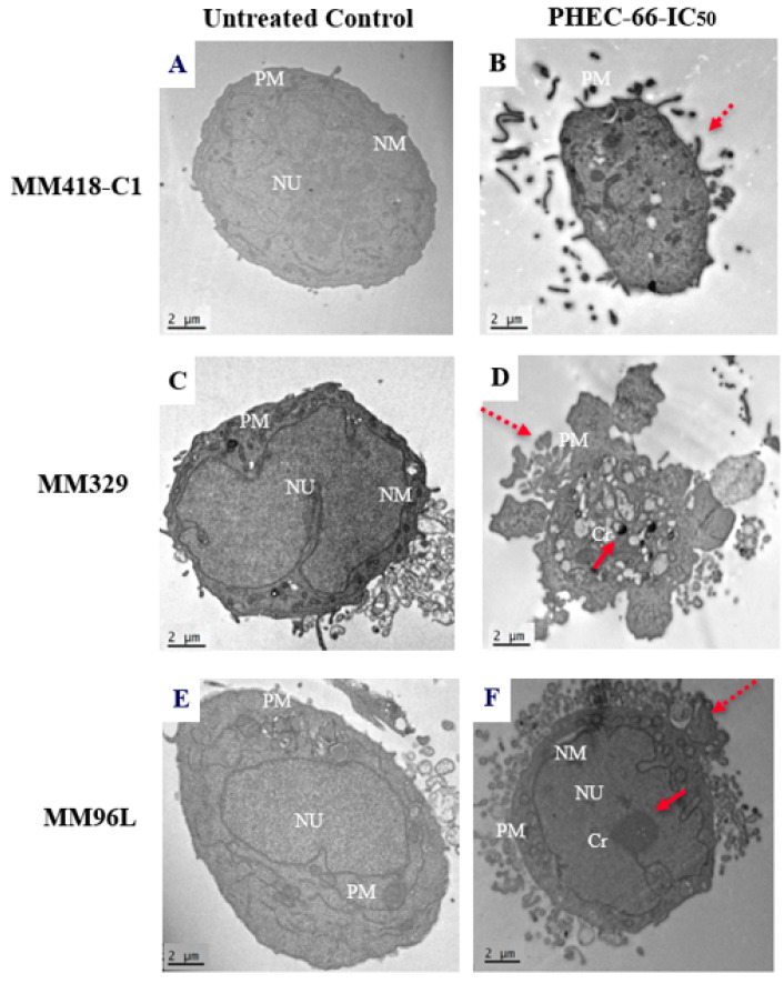 PMC10605078 – cells-12-02450-f004