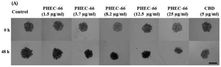 PMC10605078 – cells-12-02450-f005