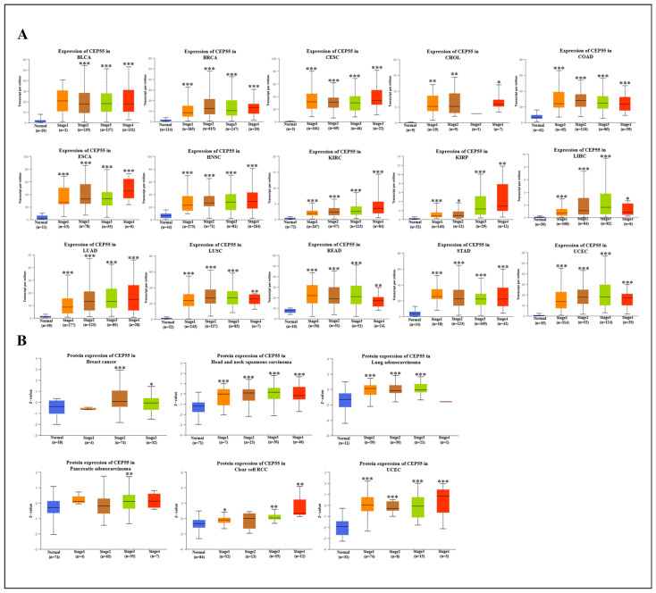 PMC10605621 – cells-12-02457-f002