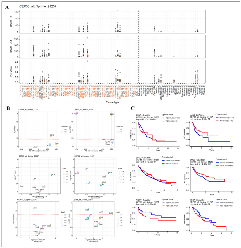 PMC10605621 – cells-12-02457-f005