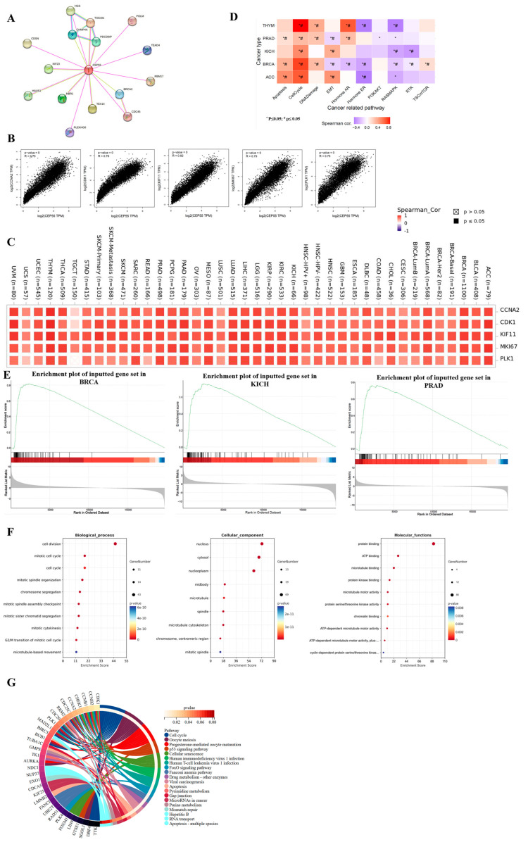 PMC10605621 – cells-12-02457-f006