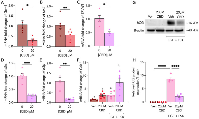 PMC10968792 – cells-13-00486-f001