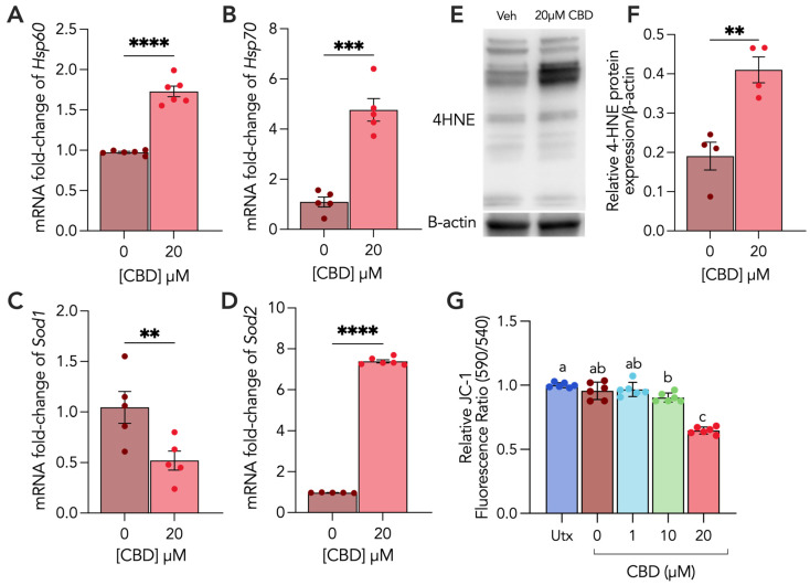 PMC10968792 – cells-13-00486-f002