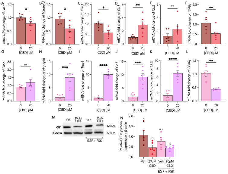 PMC10968792 – cells-13-00486-f006