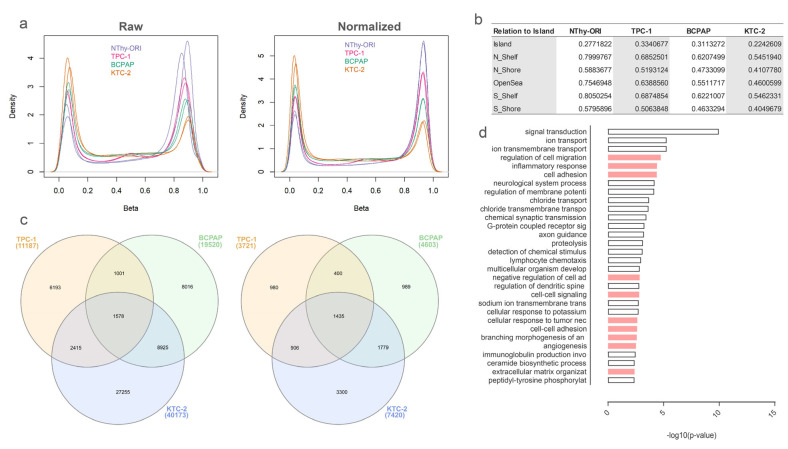 PMC11201930 – cells-13-01001-f001