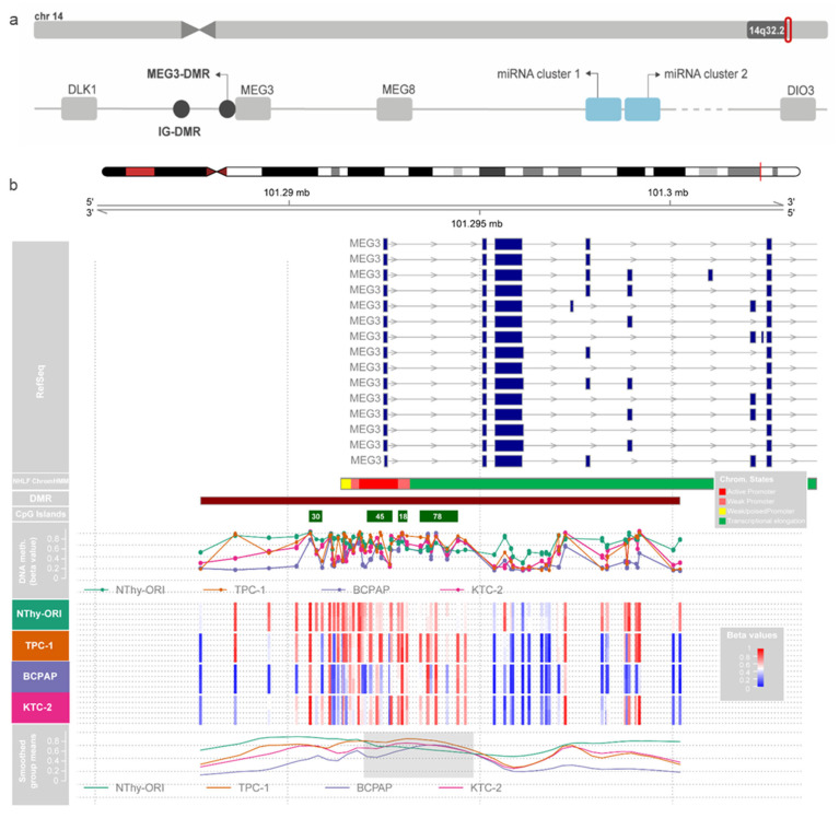 PMC11201930 – cells-13-01001-f002