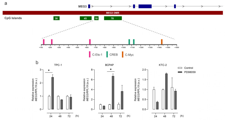 PMC11201930 – cells-13-01001-f003