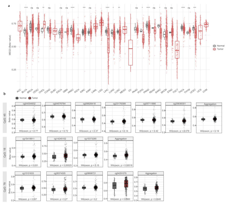 PMC11201930 – cells-13-01001-f004