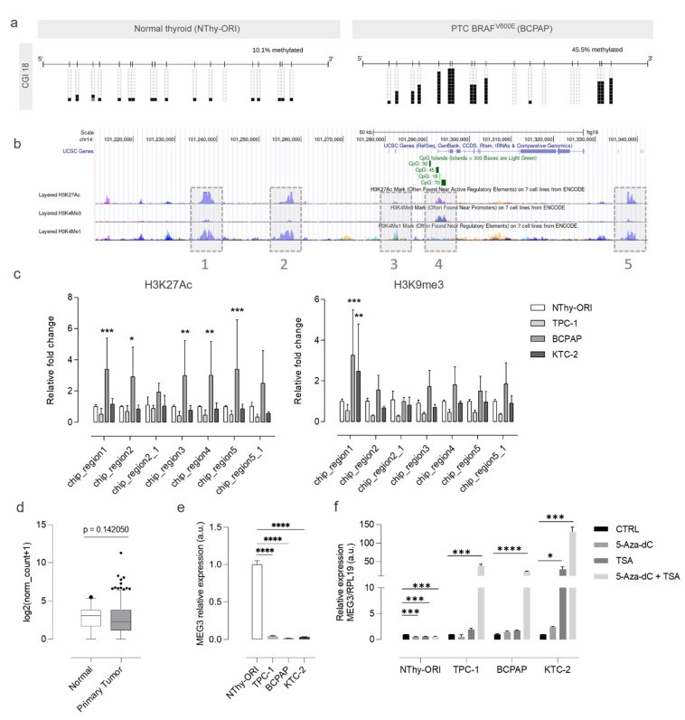 PMC11201930 – cells-13-01001-f005