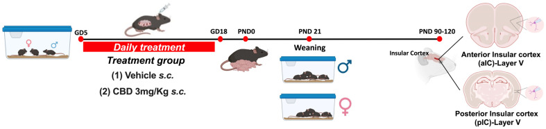 PMC11394289 – cells-13-01486-f001